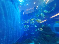 -成都浩海立方海洋公园