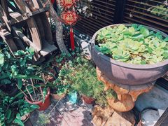 -在湖边私厨小馆