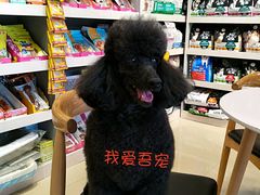 -我爱吾宠宠物美容院(朝阳路店)