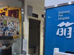 -萌兽医馆·宠物医院·猫骨科(创景店)