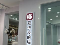 -爱洗澡的猫(望京店)