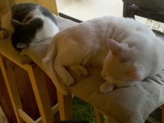 2014-02-16_15-07-43_699-MIKAKU(万达广场上海宝山店)