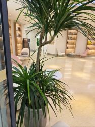 -JUVA郑州欧华医疗美容医院