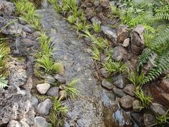 -石家庄市植物园