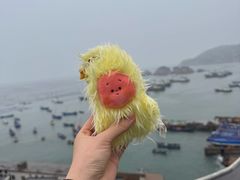 -枸杞岛