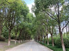 -上海鲜花港