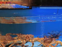 -阿伟海鲜楼·福建菜(延寿店)