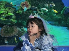 -厦门海底世界