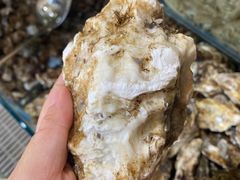 -港畔赶海蒸汽海鲜烧烤自助(仙螺岛店)