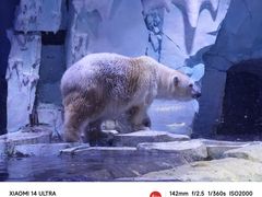-上海海昌海洋公园