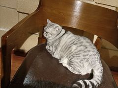 -H立方实景剧情密室(天河旗舰店)