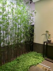 -盘子女人坊古装写真摄影(天津总店)