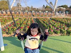 -盈香心动乐园