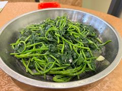 清炒番薯叶-夏茅维记饭店