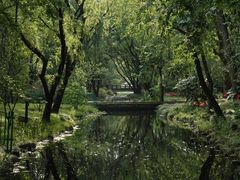 -上海共青森林公园