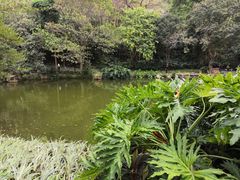 -云溪植物园