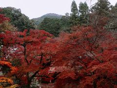 -醍醐寺