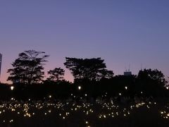 -深圳湾公园(南山区)