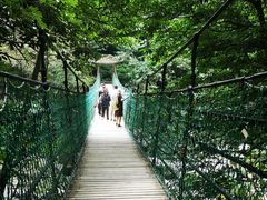 -溪口-滕头旅游景区