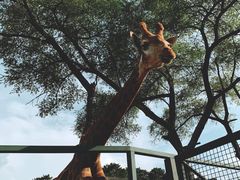 -沈阳森林动物园