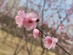 -白塘生态植物园