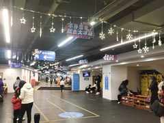 -世界之窗阿尔卑斯冰雪世界