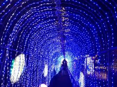 IMG_0958-别府杉乃井酒店