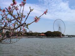 -无锡蠡湖国家湿地公园-蠡园