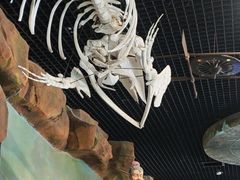 -华夏文旅西安度假区