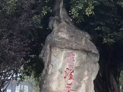 -大渡口区义渡公园