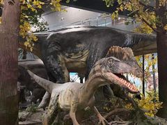 -湖南省地质博物馆