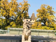 -北京石刻艺术博物馆(五塔寺)