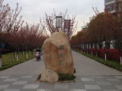 iphone_upload_pic-高东镇樱花园