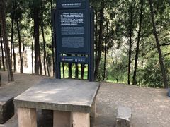 -延安杨家岭革命旧址