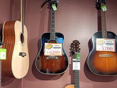 -柏斯琴行(汾阳店)