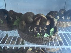 -爱膳菌锅锅(阳南店)
