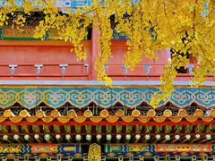 -故宫博物院(故宫)