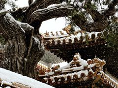 -故宫博物院(故宫)
