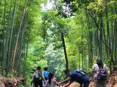 -藏龙百瀑风景区