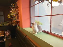 -IFIF 如果花園(宽厚里店)