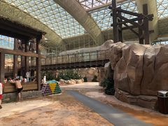 -杭州开元森泊度假乐园