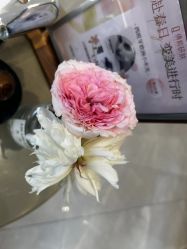 -倩极·精研痘敏肌管理