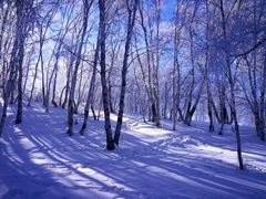 -御道口草原森林风景区-游客咨询处