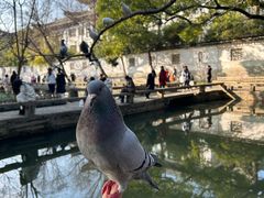 -西园戒幢律寺
