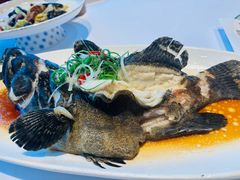 -鱼翅楼·津派砂锅鱼翅(水上公园店)