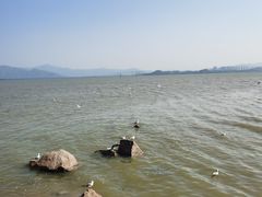 -深圳湾公园(南山区)