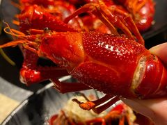 泉水清蒸龙虾-沪小胖小龙虾(淮海中路旗舰店)