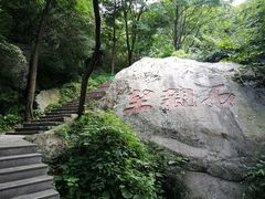 -王顺山国家森林公园