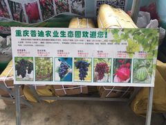 -普迪生态园
