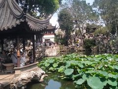 -苏州园林博物馆